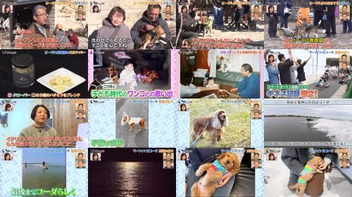 Post thumbnail