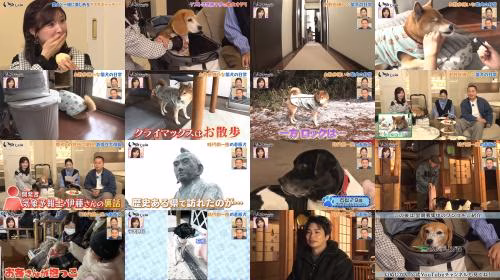 Post thumbnail
