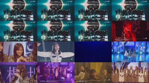 260423 Sakurazaka46 14th Single [The Growing Up Train] Mini Live - Sakurazaka46 - FHD.mp4.jpg