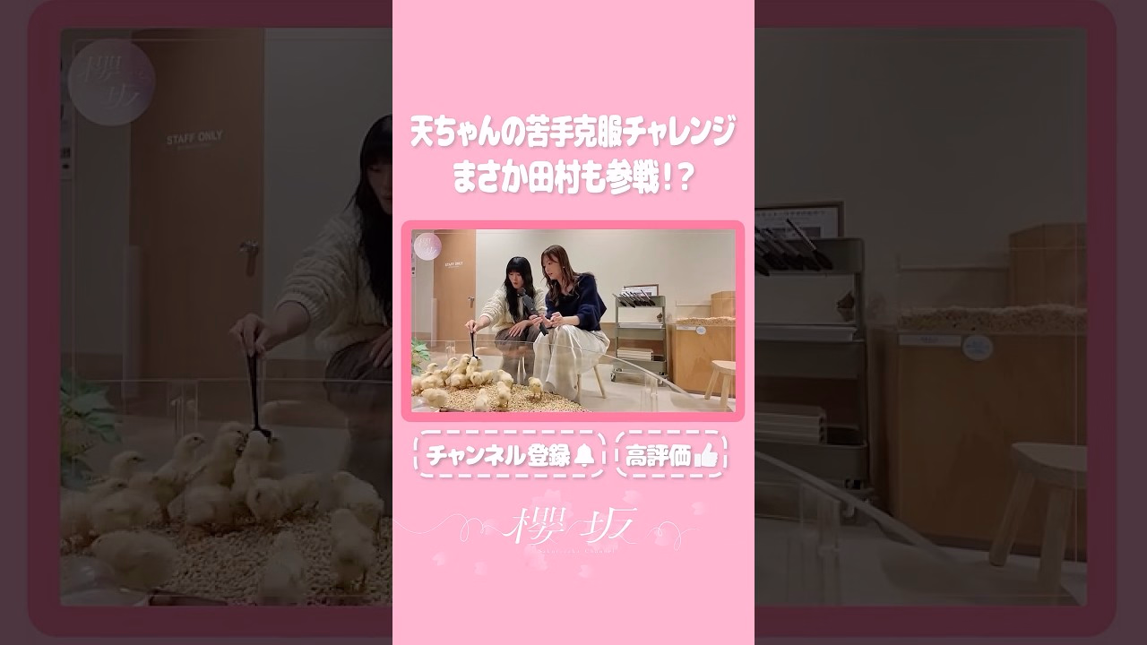 [⬆️Click Here For The Main Story⬆️] Overcome Your Weaknesses Together With Snow Bear!?Full Of Rabbits!🐇 [Digest] #Shorts #Sakurazaka Channel