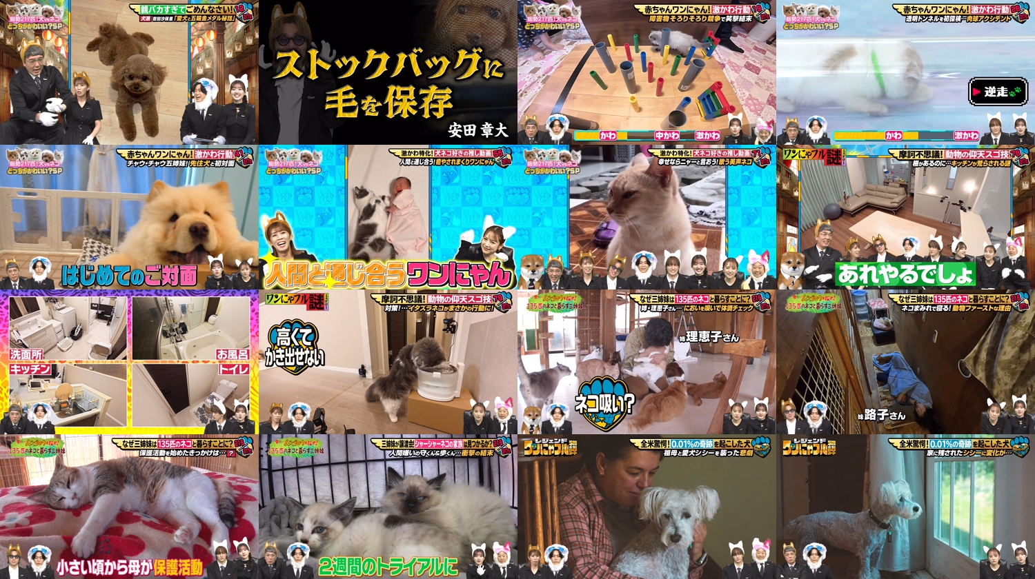 Gekikawa! Kamenashi-kun no Wan-nya Full