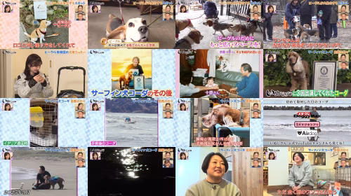Post thumbnail