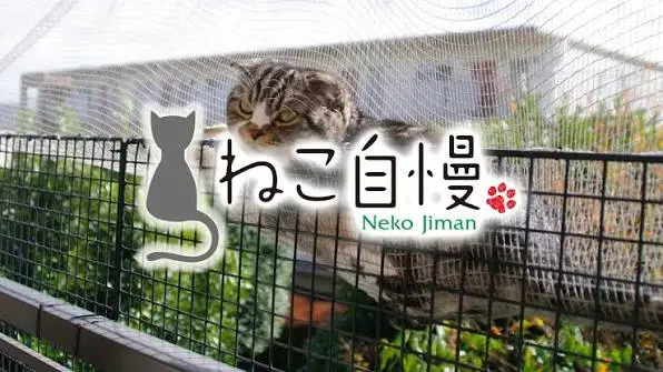 Neko Jiman