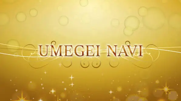 Umegei NAVI